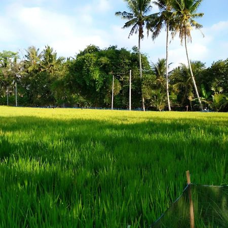 Uma Loka Villa By Shm Ubud  Exterior photo